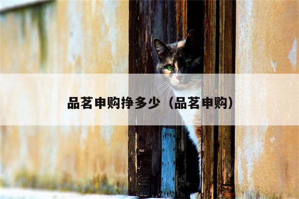 品茗申购挣多少（品茗申购）
